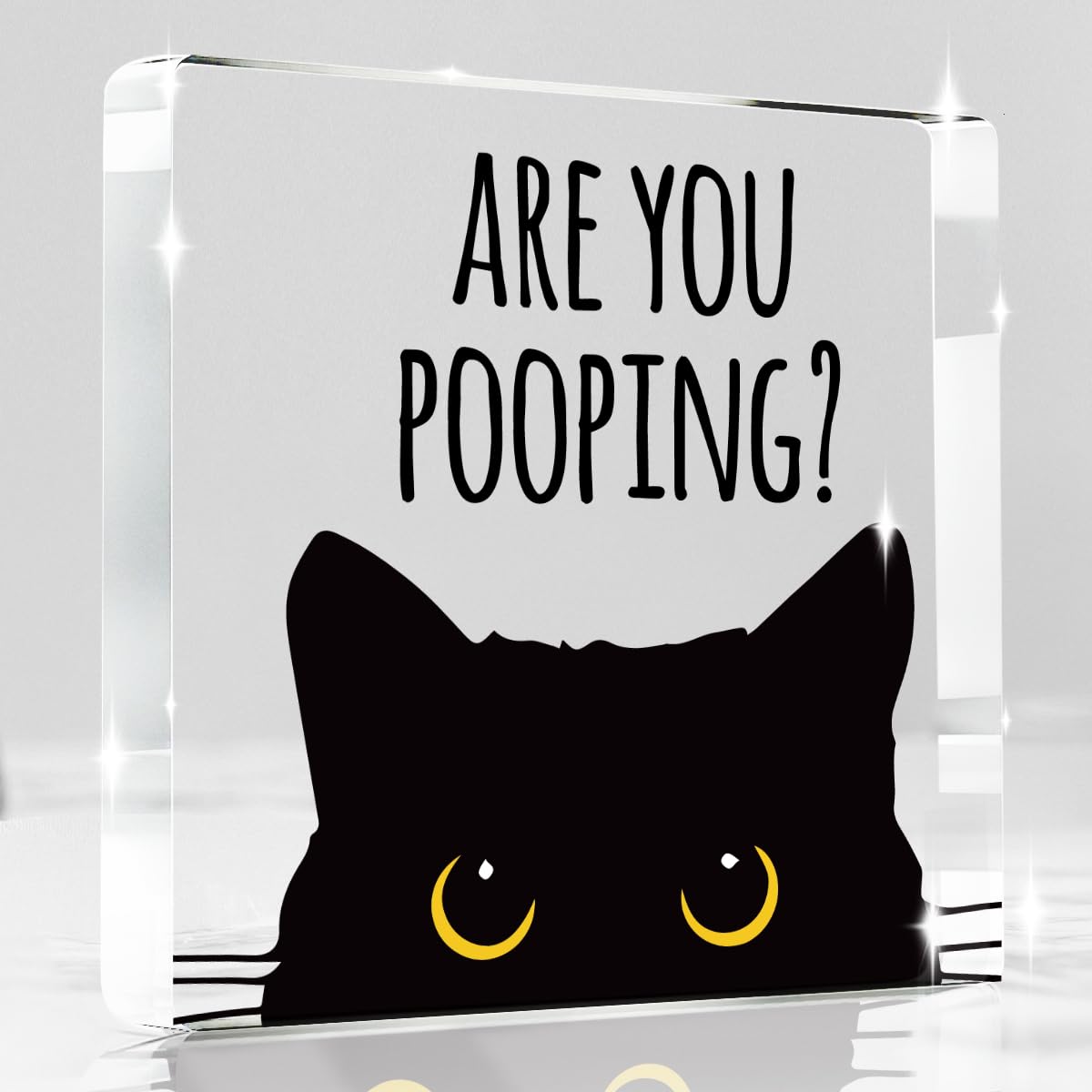 Black Cat Decor Halloween Cat Bathroom Decor Are You Pooping Funny Bathroom Acrylic Decors Sign Cat for Home Bathrooms Cats Lover Gifts For Women Men Halloween Christmas